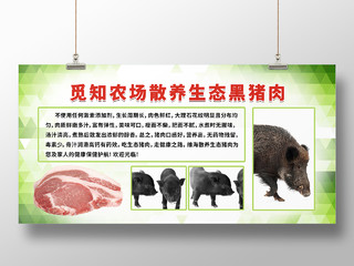 白色绿色简约大气水墨猪肉黑猪肉美食展板宣传黑猪展板